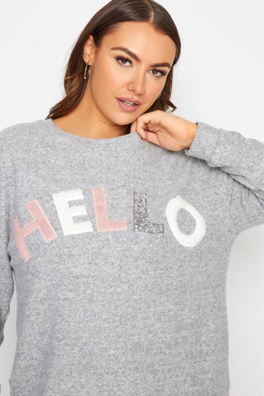 Curve Grey Embellished 'Hello' Slogan Knitted Jumper 5