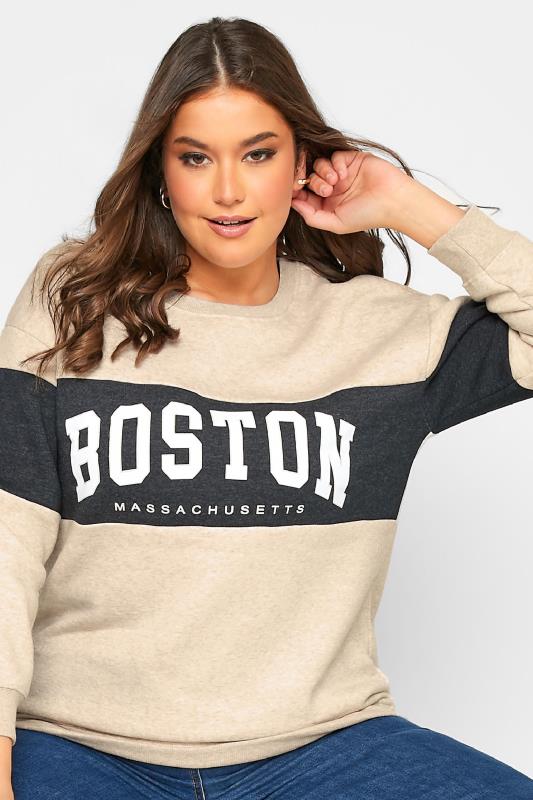 Plus Size Beige Brown 'Boston' Colour Block Sweatshirt | Yours Clothing 4