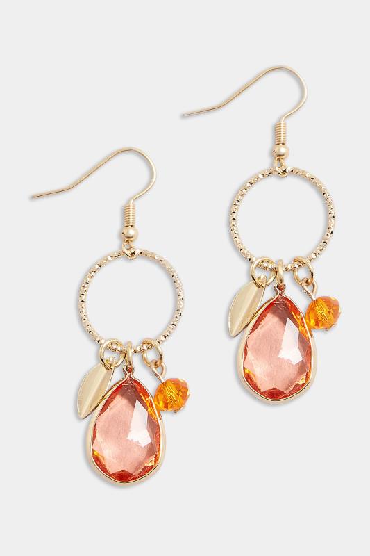 Gold Tone Stone Charm Drop Earrings | Yours Clothing 2