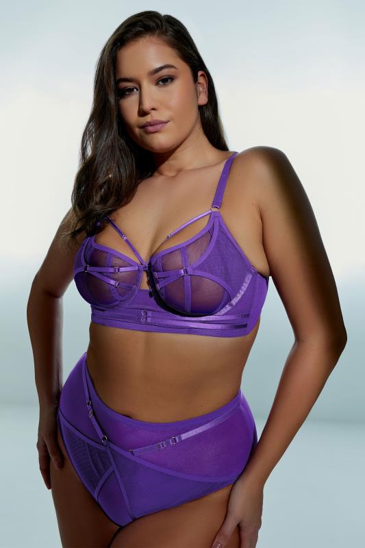 Plus Size  PLAYFUL PROMISES Eddie Purple Crossover High Waisted Briefs