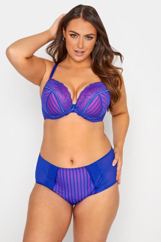 Blue Embroidered Stripe Balcony Bra - Available In Sizes 38DD - 48G 2