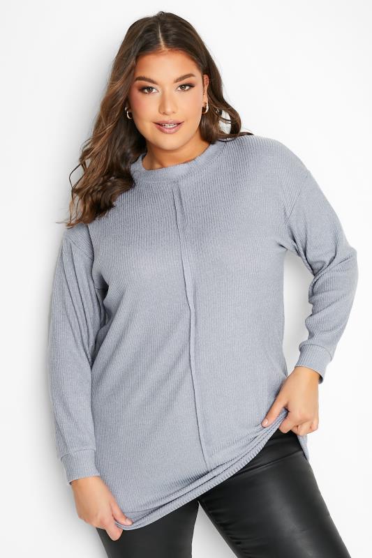Plus Size Womens Curve Light Blue Seam Detail Jumper | Yours Clothing 1