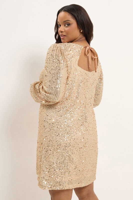 gold big sequin dress YOURS Plus Size Embellished gold evening dresses for weddings