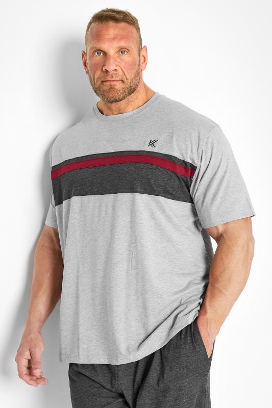 KAM Grey Stripe T-Shirt & Shorts Set | BadRhino 3