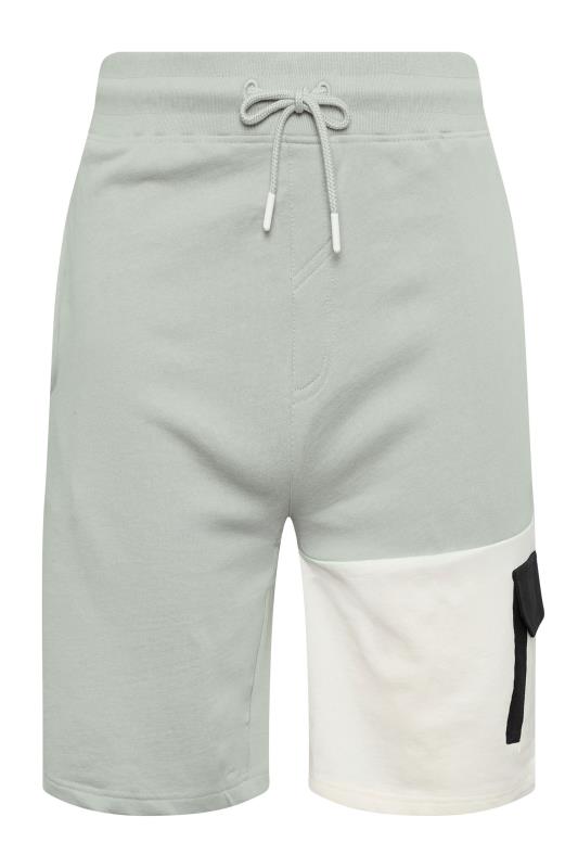 STUDIO A Big & Tall Grey Cut & Sew Panelled Shorts | BadRhino 3