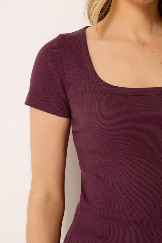 LTS Tall Women's Plum Purple Square Neck Ribbed T-Shirt | Long Tall Sally 4