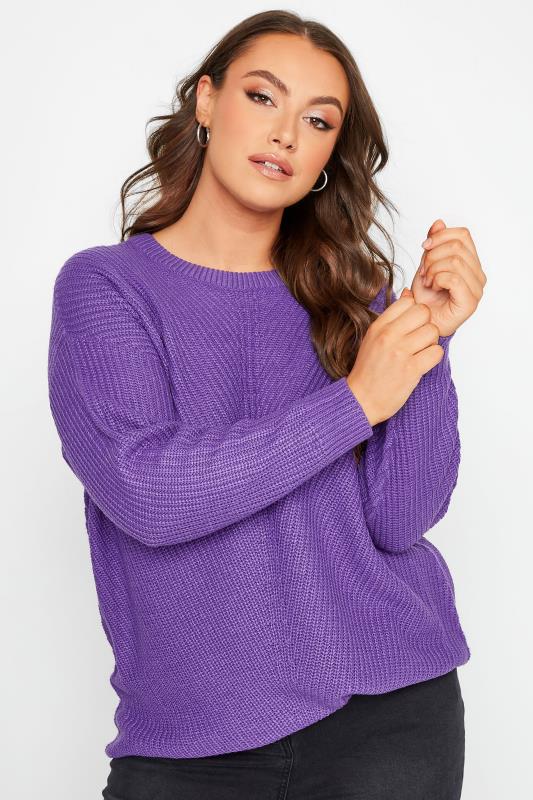 Plus Size  Curve Bright Purple Essential Knitted Jumper