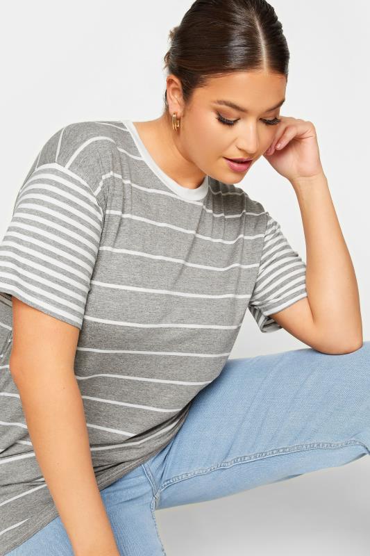 LIMITED COLLECTION Plus Size Grey Mixed Stripe Print T-Shirt | Yours Clothing 4