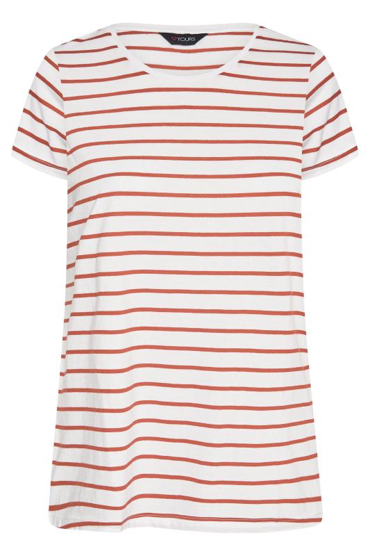 Curve White Stripe Short Sleeve T-Shirt 5
