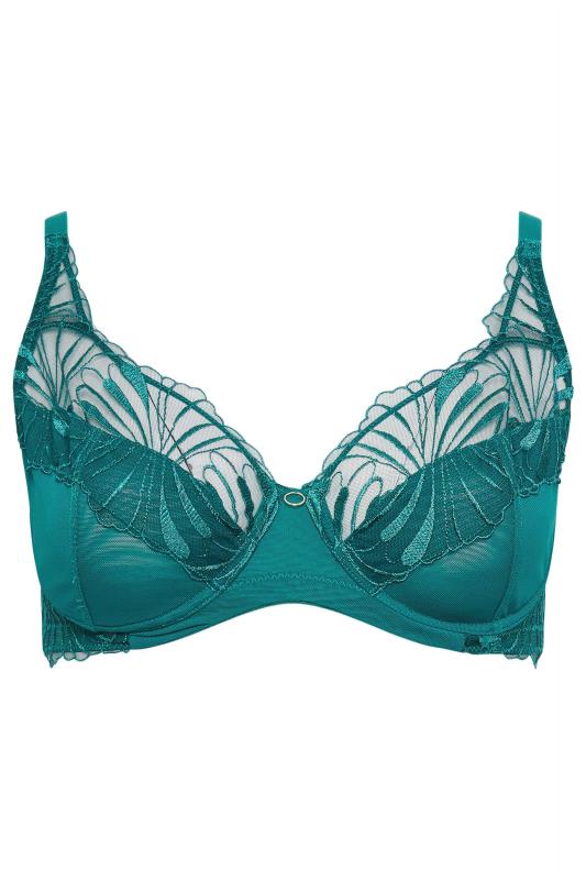 Buy Red/Green Non Pad Plunge DD+ Lace Bras 2 Pack from Next Spain