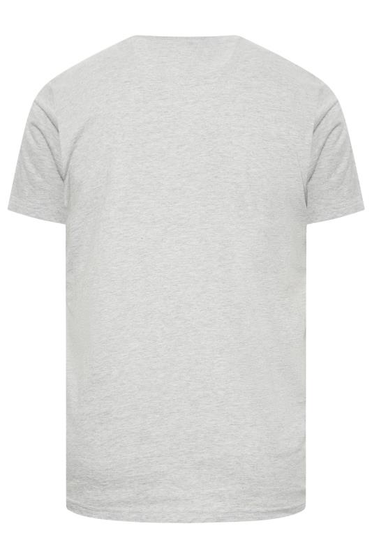 BadRhino Big & Tall Plus Size Grey 'Freedom' Slogan Car Print T-Shirt | BadRhino  4