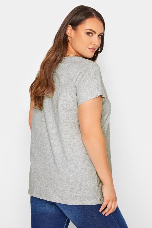 Curve Grey Short Sleeve Basic T-Shirt_C.jpg