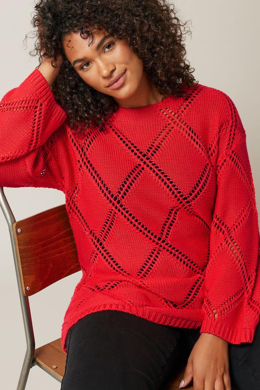 EVANS Plus Size Red Diamond Pointelle Jumper | Evans 4