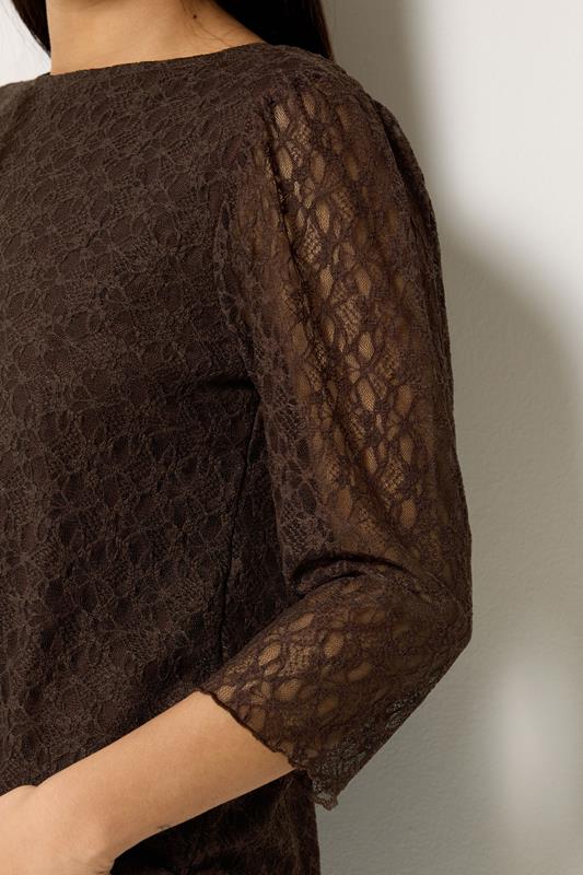 M&Co Petite Chocolate Brown Lace Top | M&Co 4
