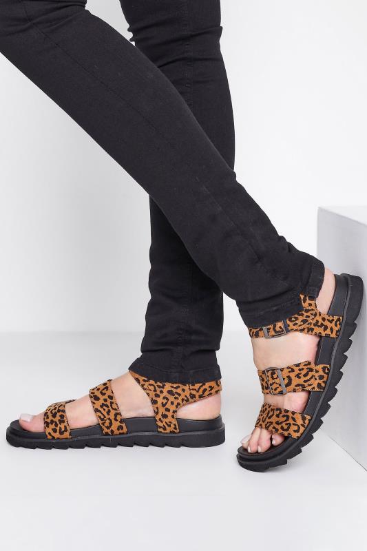 LTS Brown Leopard Print Buckle Strap Sandals In Standard DFit | Long Tall Sally 1