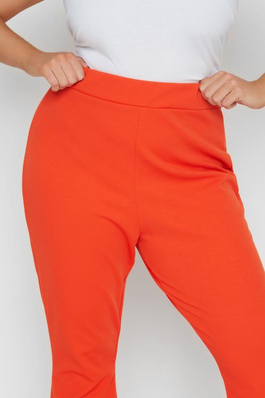 LIMITED COLLECTION Curve Bright Orange Flared Trousers 3