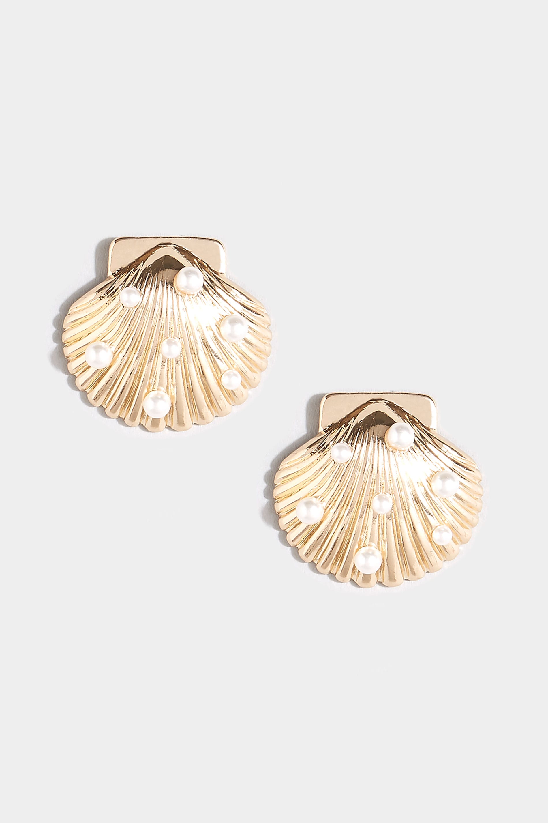 Gold Shell Stud Earrings | One Size | Yours Clothing 2