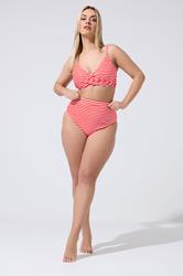 LIMITED COLLECTION Plus Size Red Stripe Bikini Briefs | Yours Clothing 2