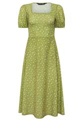 PixieGirl Petite Green Ditsy Floral Midi Dress