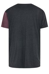 KAM Big & Tall Charcoal Grey Stripe T-Shirt | BadRhino 2