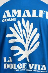 BadRhino Big & Tall Blue Amalfi Coast Graphic T-Shirt | BadRhino 3