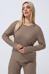 LIMITED COLLECTION Plus Size Chocolate Brown & Cream Stripe Top | Yours Clothing 3