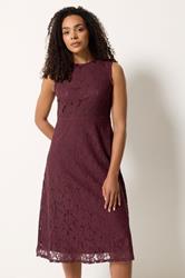 M&Co Burgundy Red Lace Skater Dress | M&Co 3