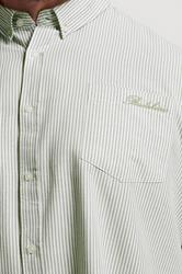 BadRhino Big & Tall Green Stripe Long Sleeve Oxford Shirt | BadRhino 4