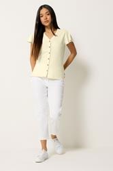 M&Co Petite Lemon Yellow Short Sleeve Cotton Shirt | M&Co 1