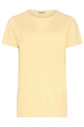 LTS Tall 3 PACK Women's Chocolate Brown & Light Blue Cotton V-Neck T-Shirts | Long Tall Sally 11