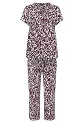 EVANS Plus Size Set Berry Red Ikat Print | Evans 6