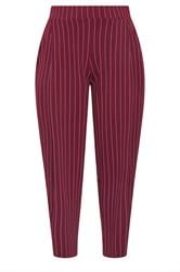 LIMITED COLLECTION Curve Burgundy Red Pinstripe Barrel Trousers