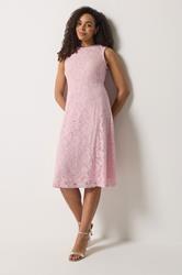 M&Co Light Pink Lace Skater Dress | M&Co 3