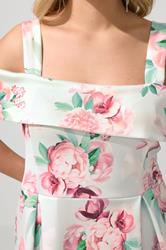 YOURS LONDON Plus Size Sage Green Cold Shoulder Floral Skater Dress | Yours Clothing 4