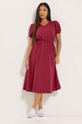 M&Co Petite Berry Red Broderie Sleeve Cotton Midi Dress | M&Co 1