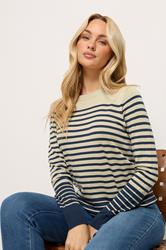 M&Co Navy Blue and Natural Brown Stripe Jumper | M&Co 3