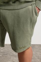 BadRhino Big & Tall Green Sun Bleached Jogger Shorts | BadRhino 5