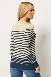 M&Co Navy Blue and Natural Brown Stripe Jumper | M&Co 2