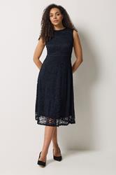 M&Co Navy Blue Lace Skater Dress | M&Co 3