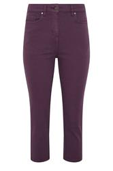 M&Co Petite Berry Purple Ankle Grazer Jeans | M&Co 5