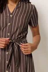 M&Co Chocolate Brown Striped Shirt Dress | M&Co 5