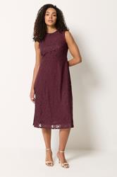 M&Co Burgundy Red Lace Skater Dress | M&Co 1