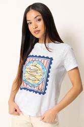 M&Co Petite White Sardine Graphic Print Cotton T-Shirt | M&Co 3