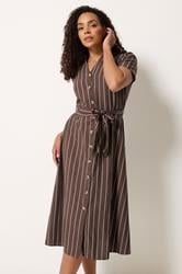 M&Co Chocolate Brown Striped Shirt Dress | M&Co 3