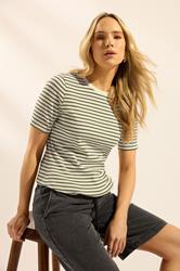 LTS Tall Women's Olive Green Stripe Ribbed T-Shirt | Long Tall Sally 3