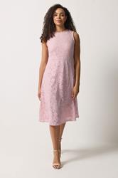 M&Co Light Pink Lace Skater Dress | M&Co 1