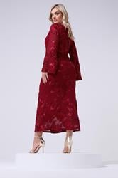 YOURS LONDON Plus Size Red Floral Applique Maxi Dress | Yours Clothing 2