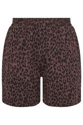 LIMITED COLLECTION Plus Size Chocolate Brown Leopard Shorts | Yours Clothing 5