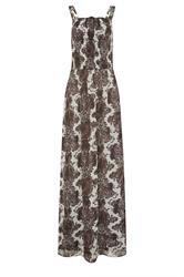 LTS Tall Chocolate Brown Paisley Maxi Dress