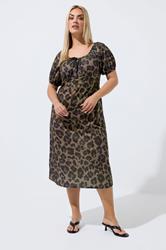 LIMITED COLLECTION Plus Size Brown Leopard Tie Neck Dress  | Yours Clothing 1